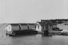 1_badhus_saro_10364