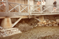 1_badhus_saro_3075