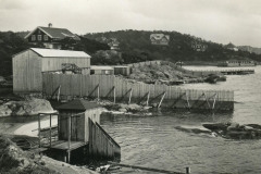 1_badhus_saro_40065