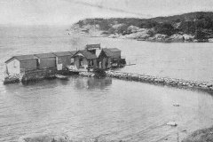 badhus_saro_1228