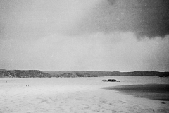 1931