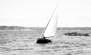 1933