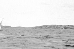 1933