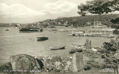 thumbs_angbat_saro_2638