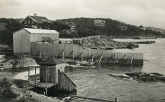 thumbs_badhus_saro_40065