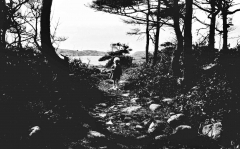 1919, Särö, Västerskog, Pocke