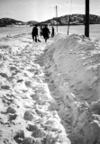 thumbs_vagar_saro_2077