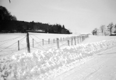 1942