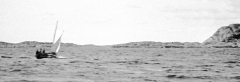 1933