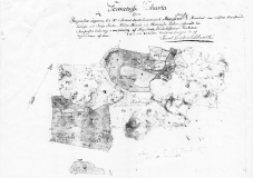 thumbs_algusered_saro_2355
