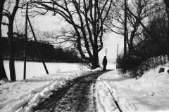 1_vagar_saro_2040