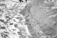 1_vagar_saro_2077