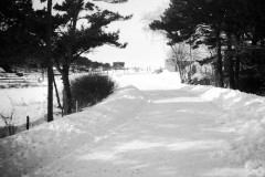 1942