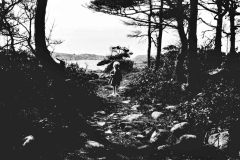 1919, Särö, Västerskog, Pocke