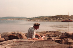 1_willumsen_saro_1993