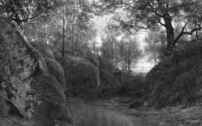 Särö: Från grön oas till naturskyddat område