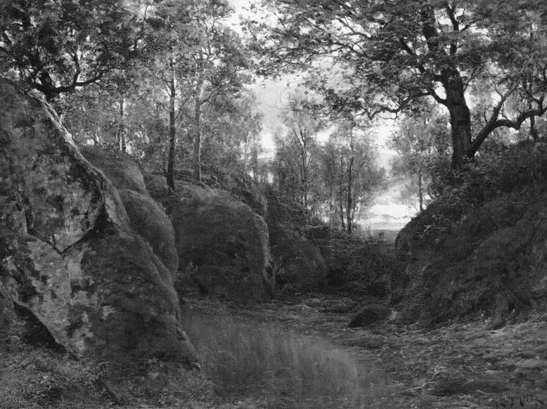 Särö: Från grön oas till naturskyddat område